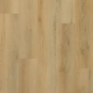 Bright GALAXY LINE Serie Orion Silence Large