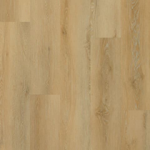 Bright GALAXY LINE Serie Orion Silence Large