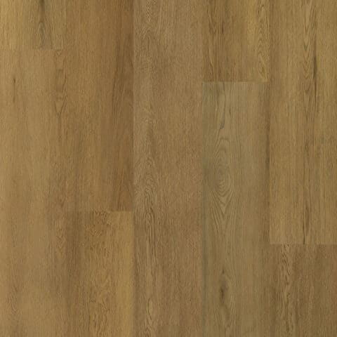 Cinnamon GALAXY LINE Serie Orion Silence Large