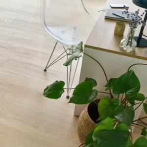 Roble Brandon ARBITON Woodric EIR Acoustic CWSA-203 Suelo Vinílico SPC